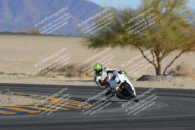 media/Feb-04-2023-SoCal Trackdays (Sat) [[8a776bf2c3]]/Turn 4 (Tree of Life 2pm)/